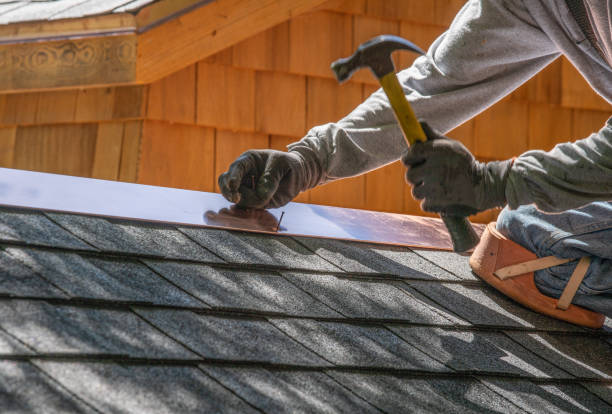 Best Roof Moss and Algae Removal  in Avon By The Sea, NJ